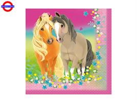 PRETTY PONY 20 TOVAGLIOLI 33X33