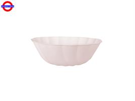 PINK VERT COMPOSTABILE 6 BOWLS D.14.8