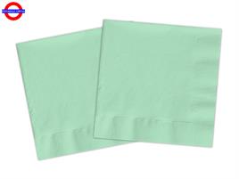 VERDE MENTA COMPOSTABILE 20 TOVAGLIOLI 33X33